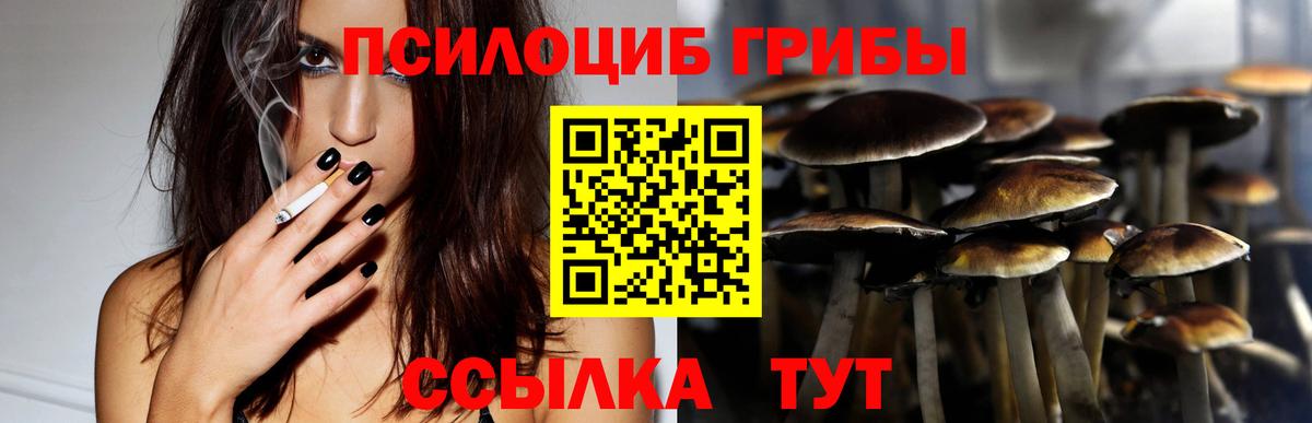 Лениногорск  Галлюциногенные грибы GOLDEN TEACHER  Вход с VPN 